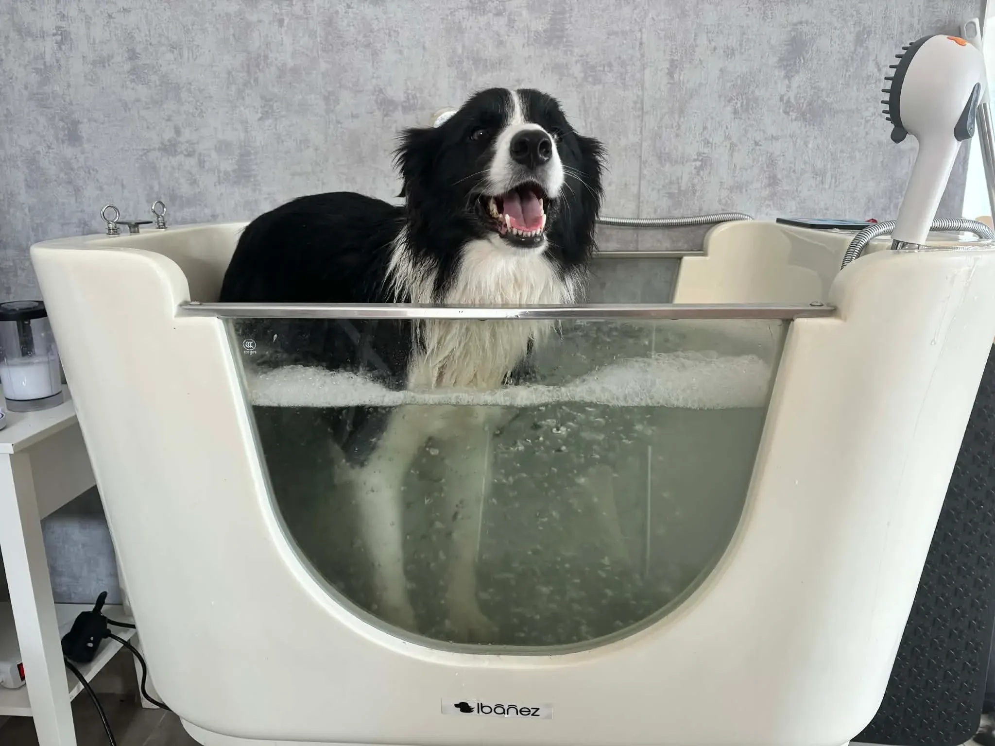 Spa a Ozonová terapie